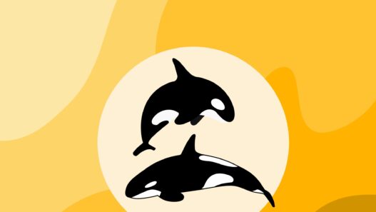 ORCA coin
