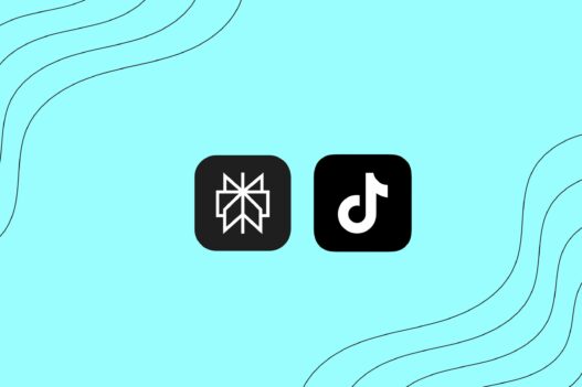 Perplexity interested in TikTok takeover