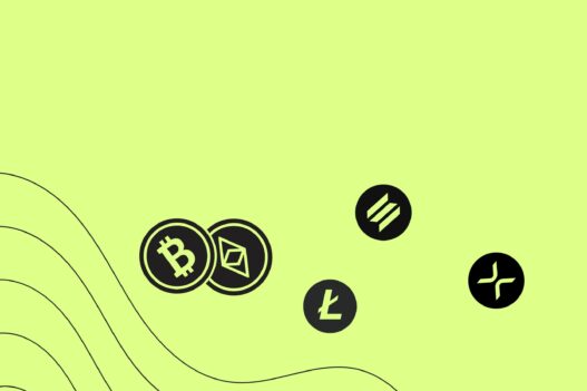 Taxonomy Digital Assets